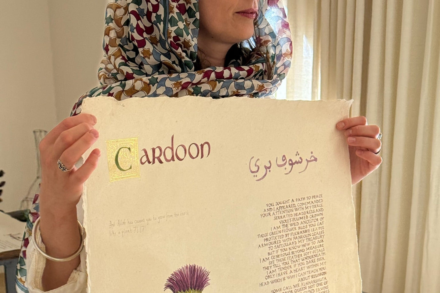 Cardoon