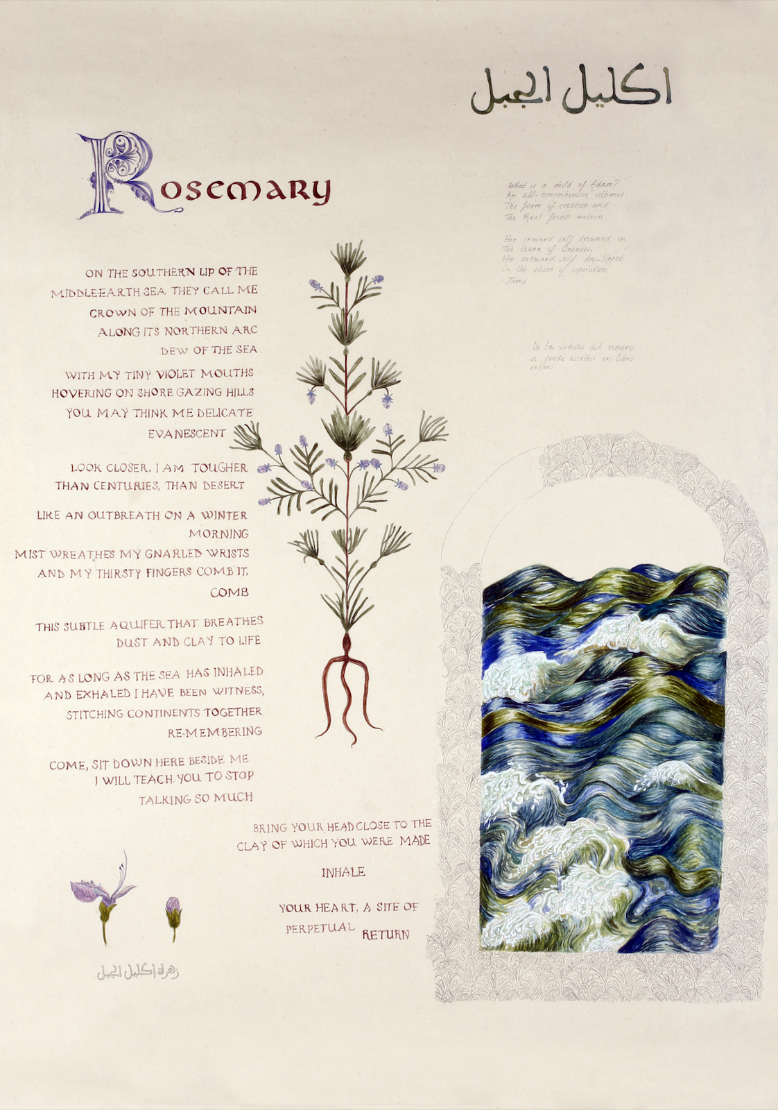 Rosemary