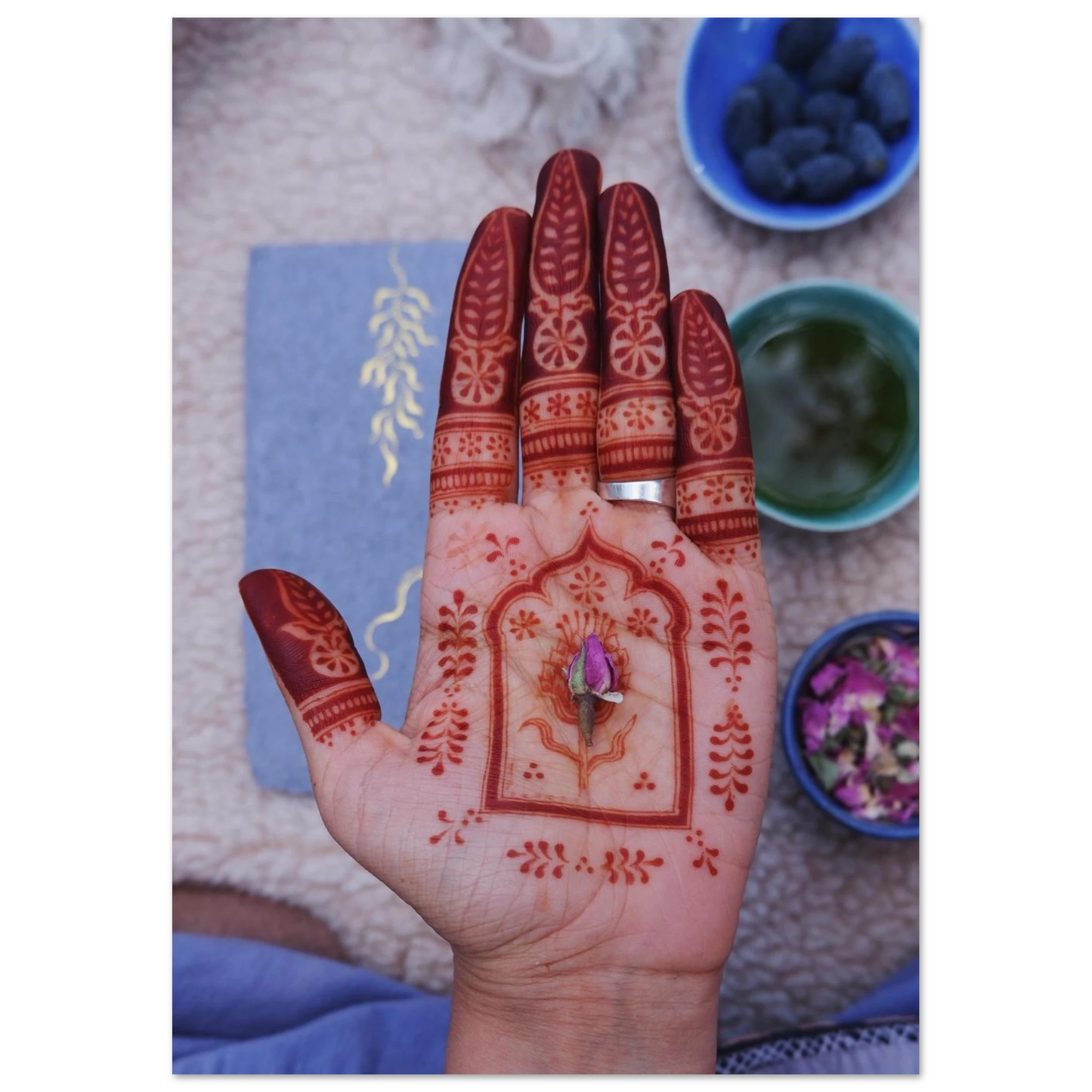 df3e5d5b-4a51-4c2c-94db-4a0633447178