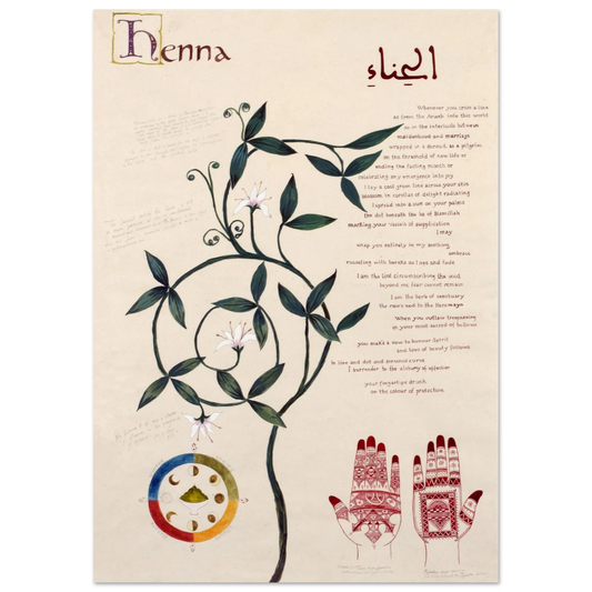 fd7b50ad-79c2-46b4-9e40-8e54aa27ca88